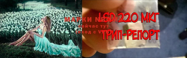 стаф Беслан